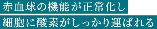 赤血球の機能が正常化し細胞に酸素がしっかり運ばれる